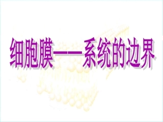 细胞膜——系统的边界-公开课