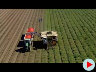 区域农业的可持续发展(终结版)