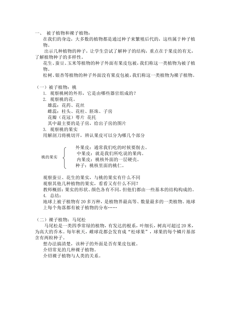 地面上的植物1_第2页