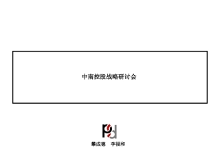 中南控股集团_发展战略研讨会_40PPT_总体架构的建议