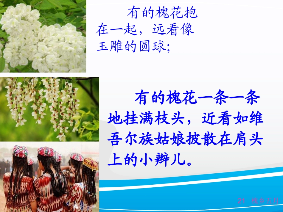 槐乡五月（自制）_第3页