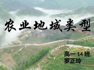 农业地域类型-水稻种植业