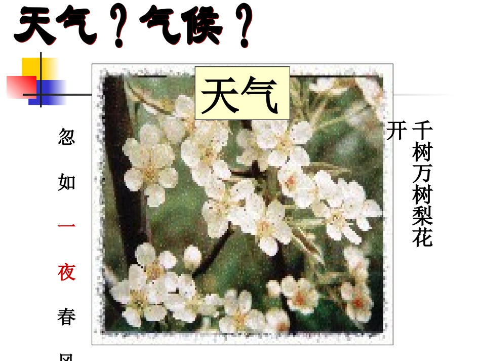 气候的形成和变化_第2页