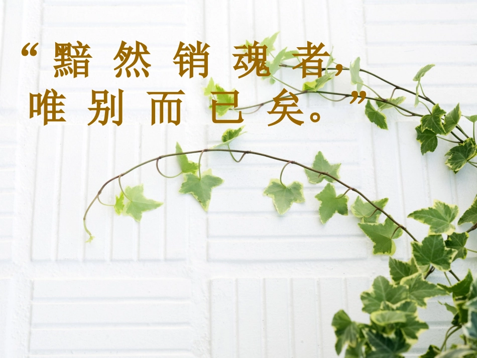 唐朝送别诗一组周_第1页