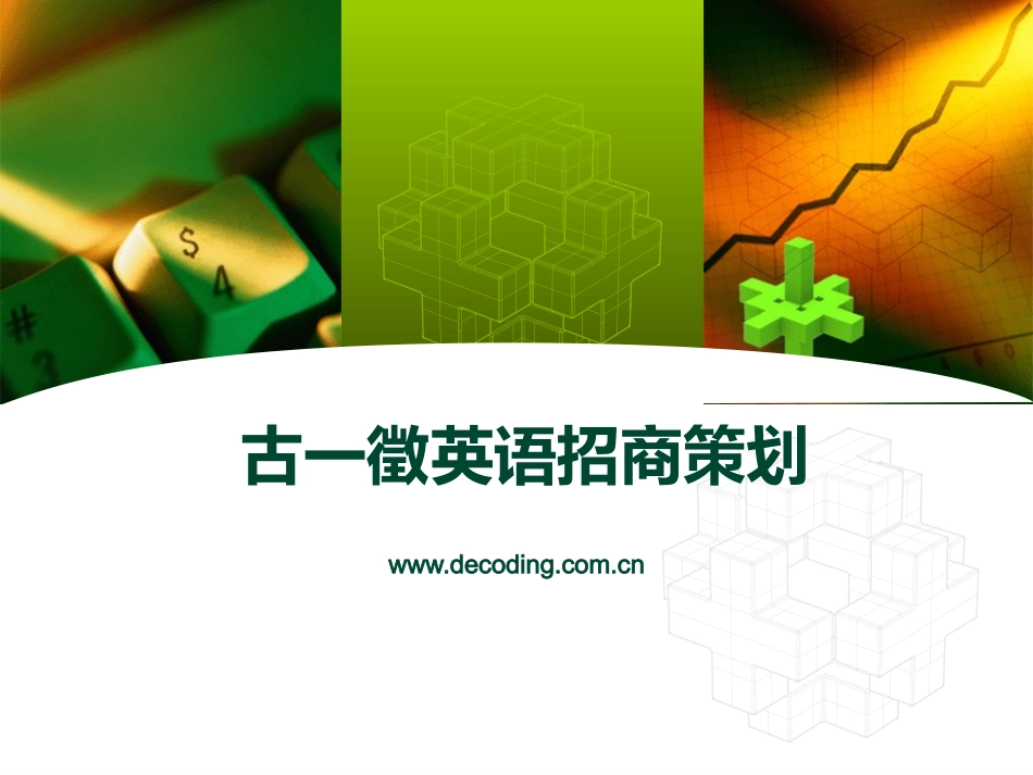 某公司招商策划方案(非常详细)_第1页