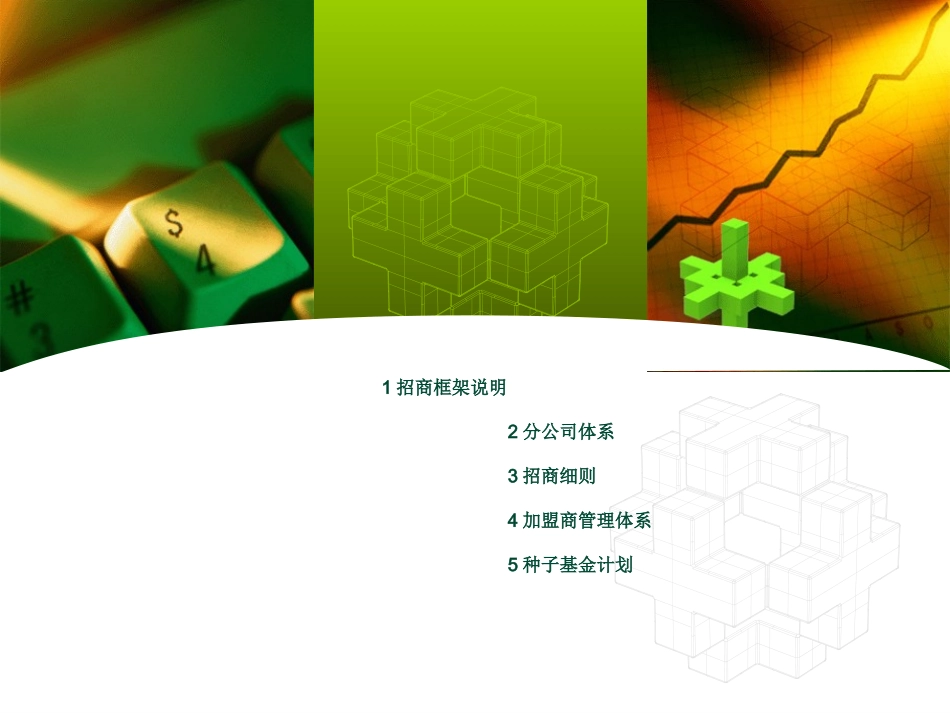 某公司招商策划方案(非常详细)_第2页