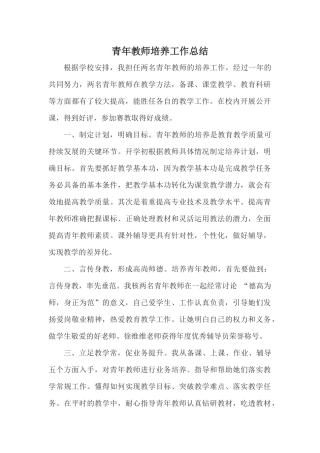 青年教师培养工作总结