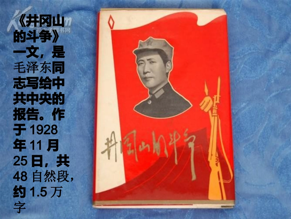 井冈山的斗争_第3页