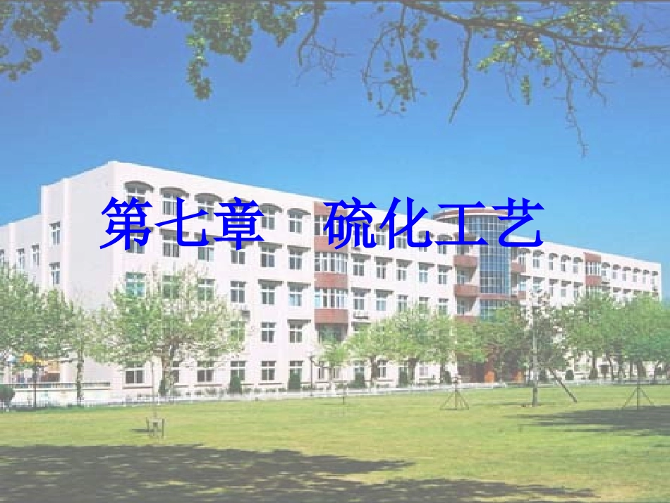 橡胶硫化工艺_第1页