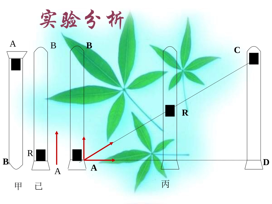 哈尔滨市第三中学高一物理教案四(2)_第2页