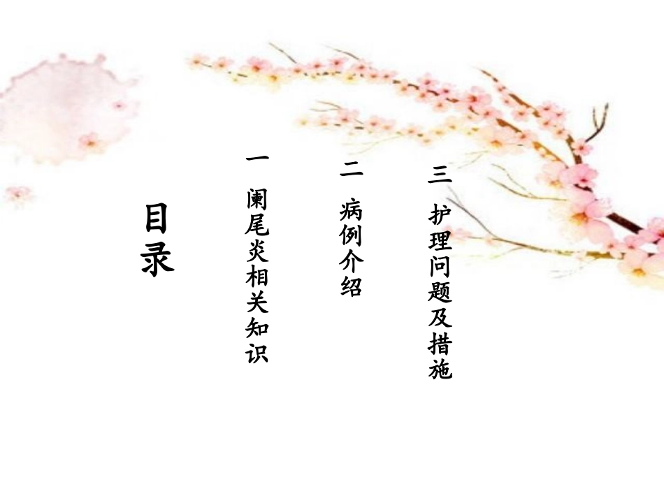 阑尾炎护理查房_第3页