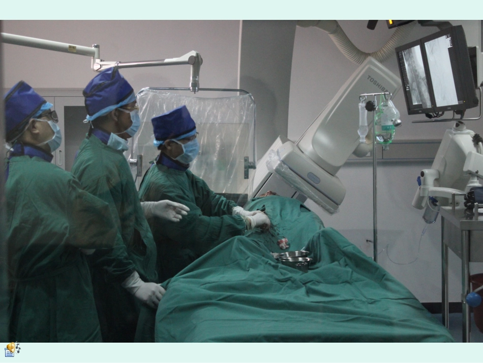 颅内静脉系统解剖_第1页