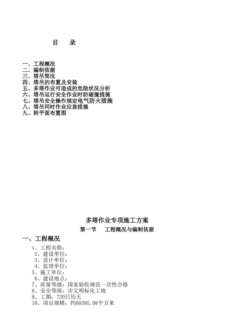 多塔作业专项施工方案_第1页