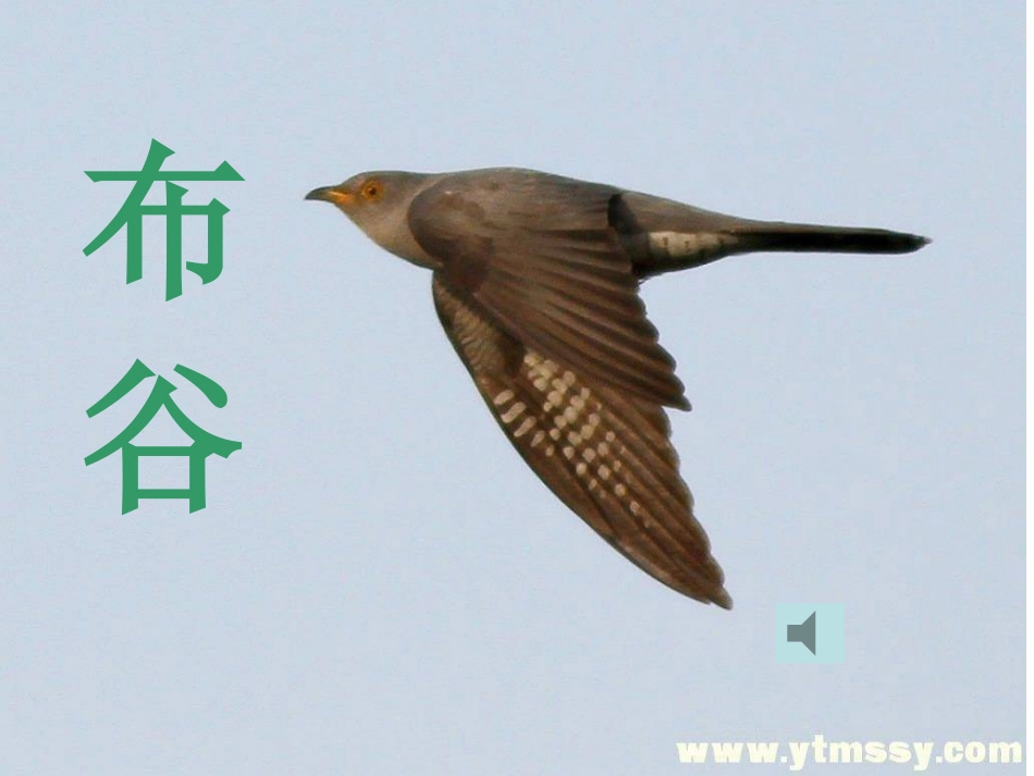 一年级语文下册第一组2识字（1）第二课时课件_第2页