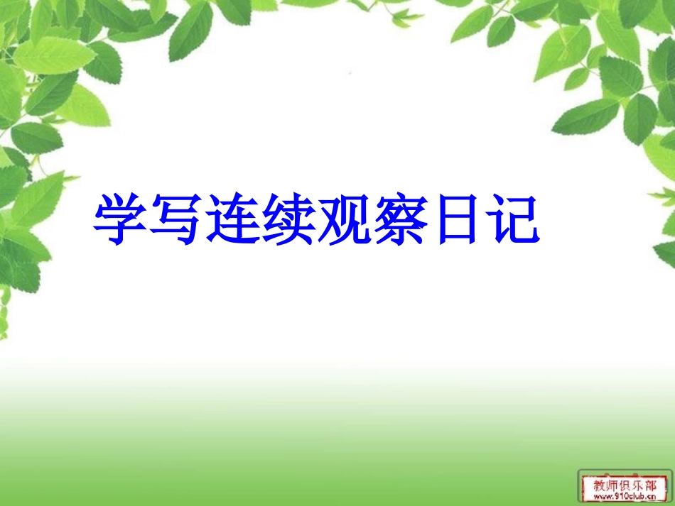 连续观察日记课件_第2页