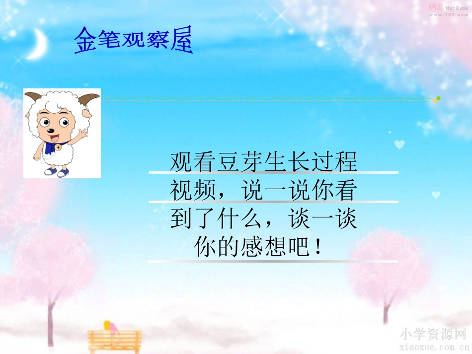 连续观察日记课件_第3页