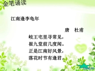 连续观察日记课件