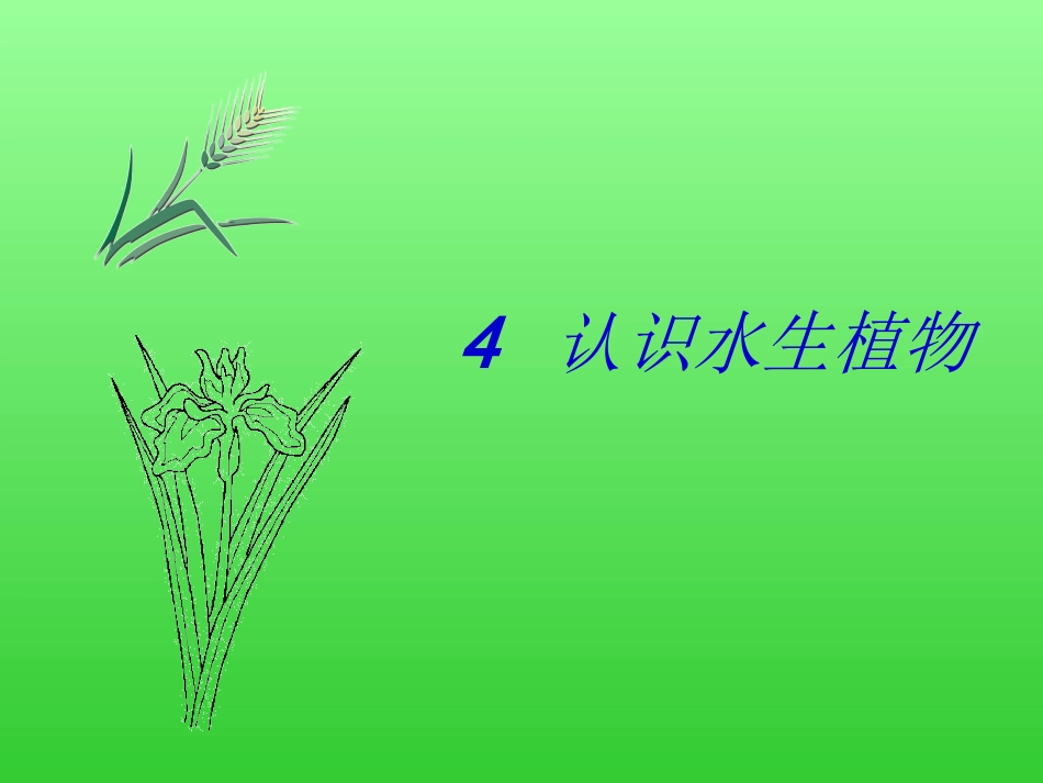 教科版三年级上册科学4.水生植物_第1页