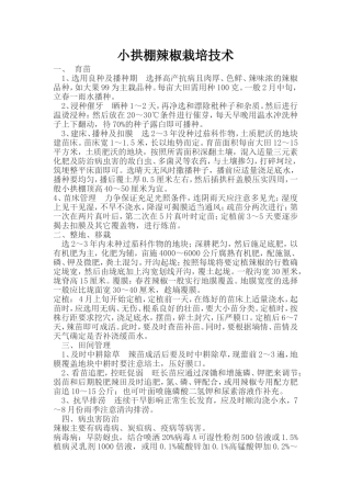 小拱棚辣椒栽培技术