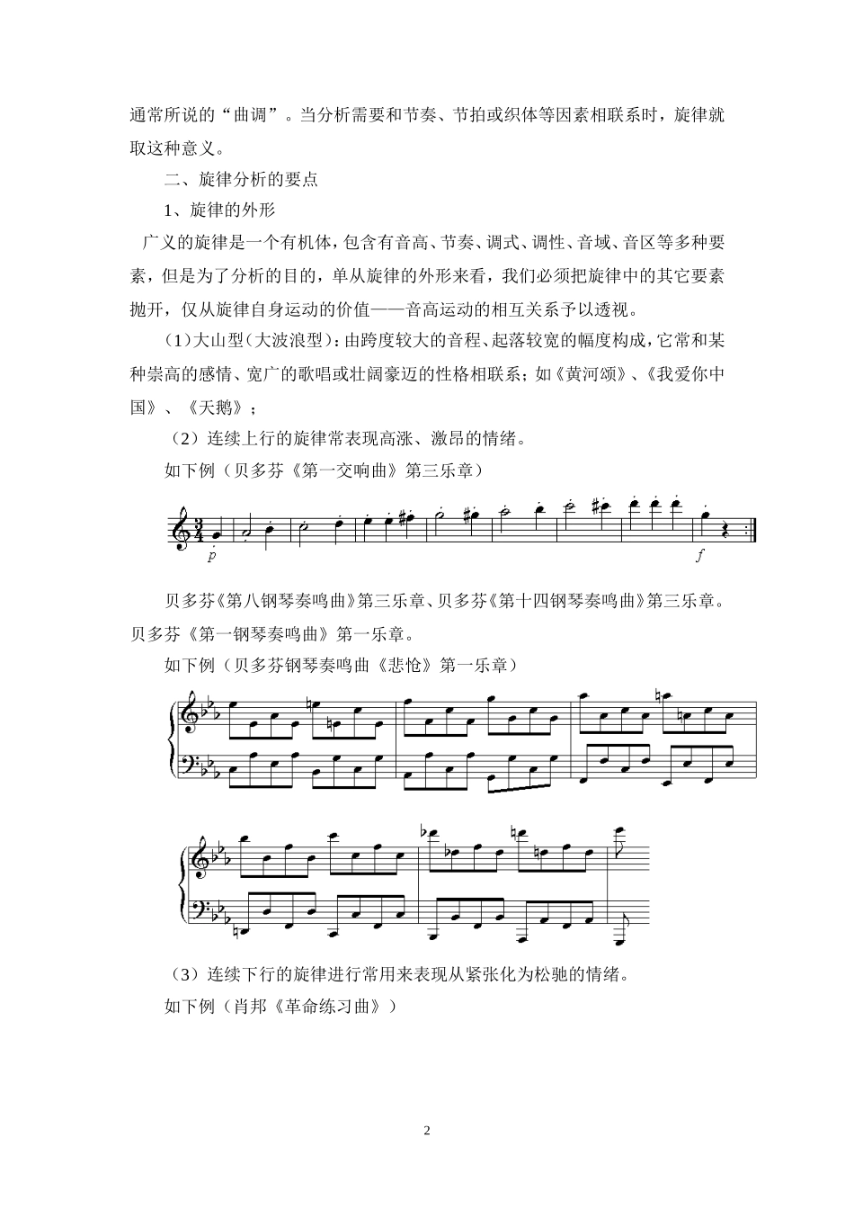 曲式与作品分析_第2页