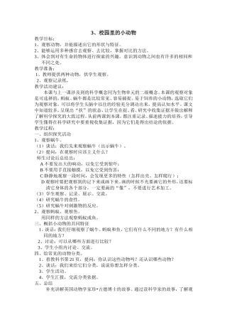 校园里的小动物