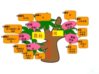 圆柱和圆锥树知图