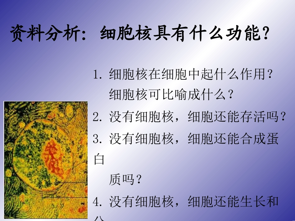 第3节细胞核——系统的控制中心_第2页