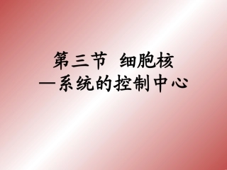 第3节细胞核——系统的控制中心