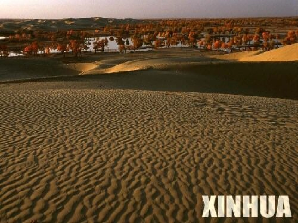 沙漠中的绿洲 (3)_第3页