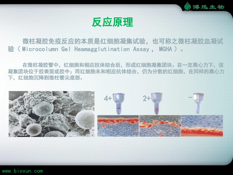 微柱凝胶免疫检测技术博迅产品操作03版_第2页