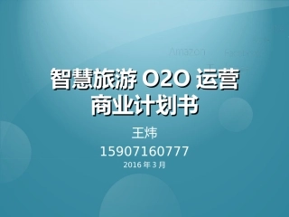 智慧旅游商业计划书