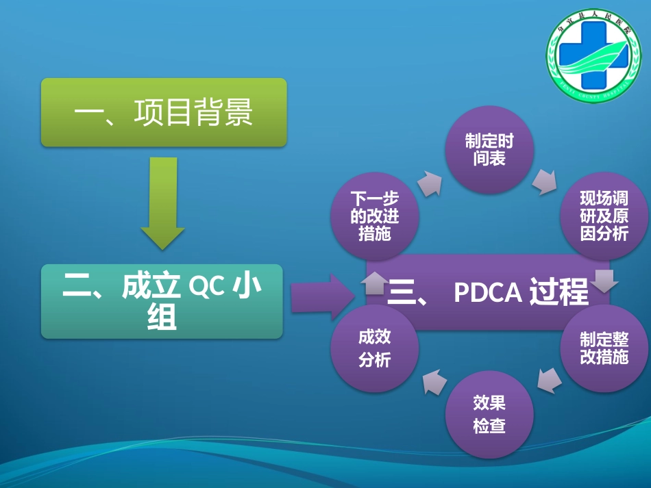 危急值记录、处置质量持续改进-PDCA_第2页