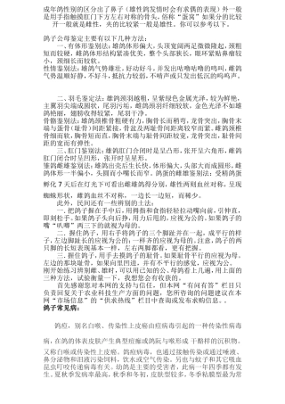 鸽子公母识别方法及常见病防治