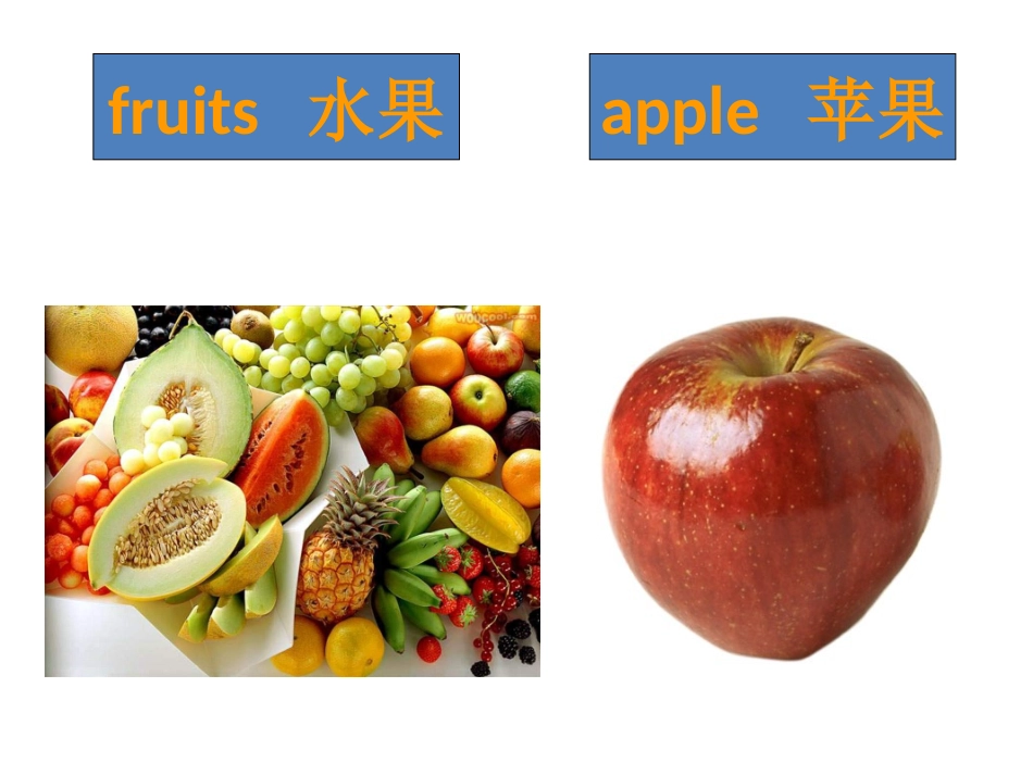 高清动植物英语单词卡片_第1页