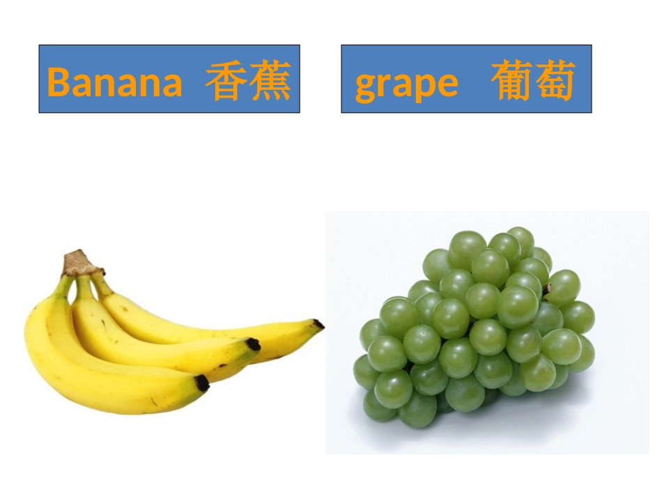 高清动植物英语单词卡片_第2页