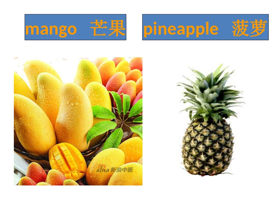 高清动植物英语单词卡片_第3页