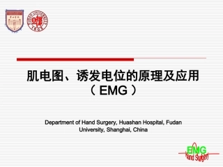 神经电生理--肌电图基础知识