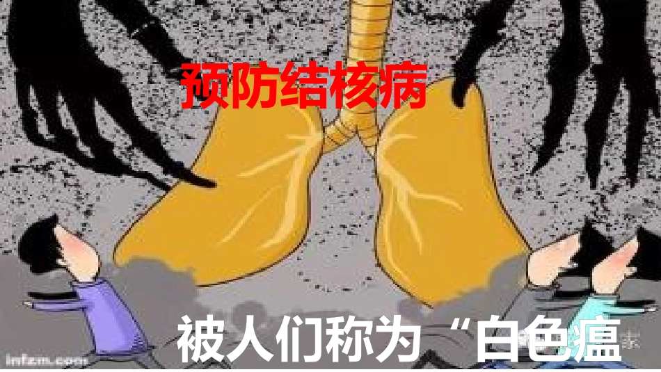 预防结核病PPT_第1页
