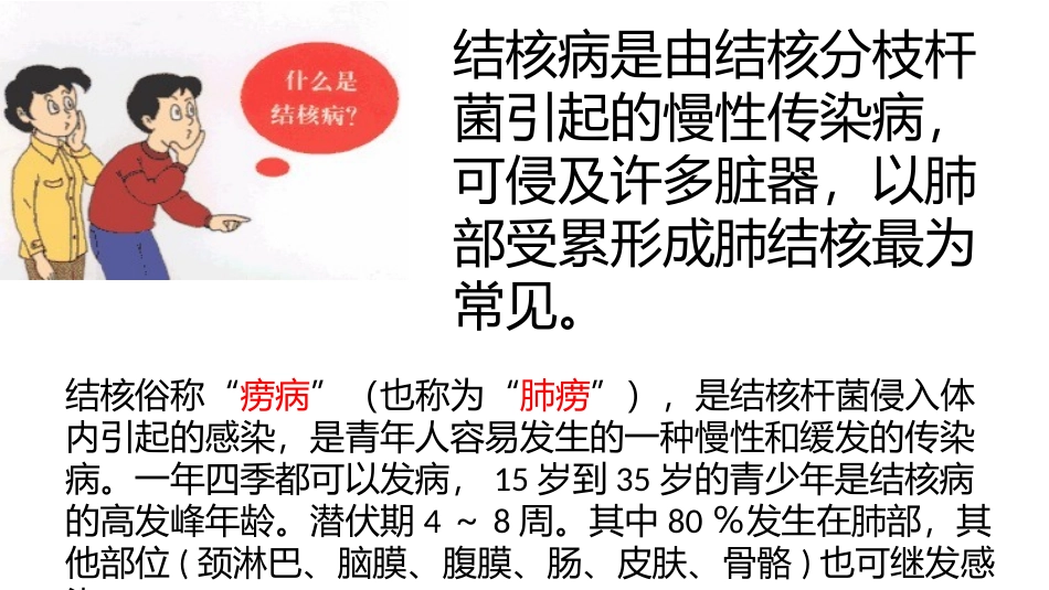 预防结核病PPT_第2页