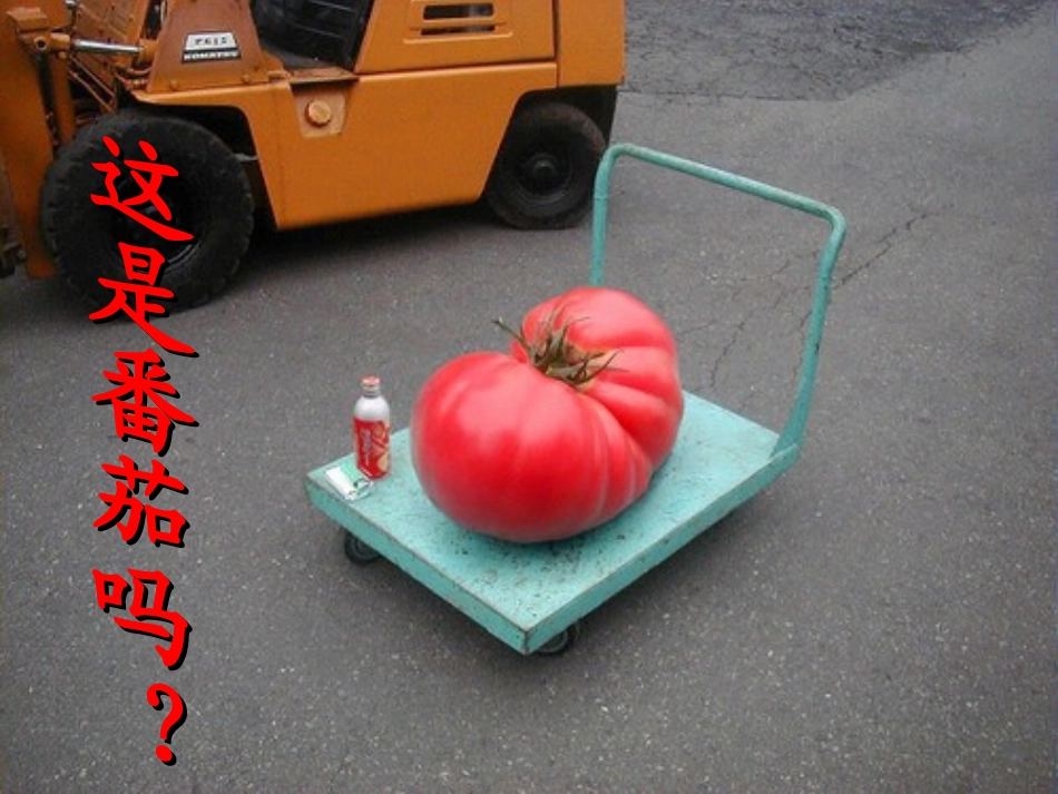 《送你一束转基因花》_第2页