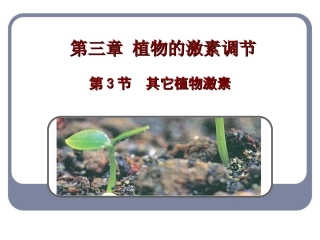 其他植物激素(公开课)