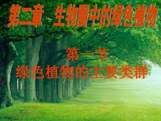 绿色植物的主要类群