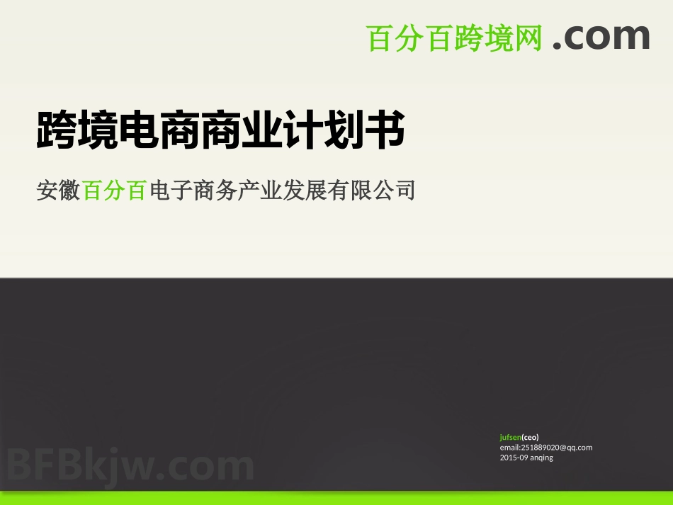 跨境电商商业计划书_第1页