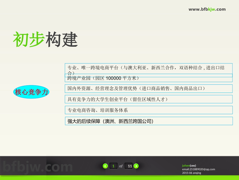 跨境电商商业计划书_第2页