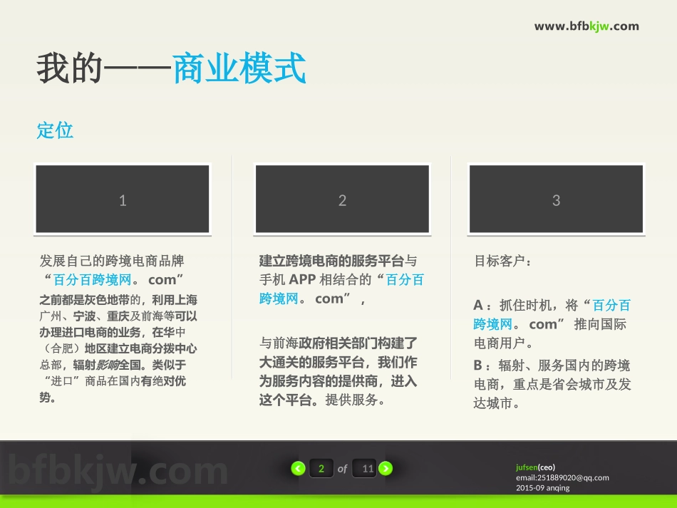 跨境电商商业计划书_第3页