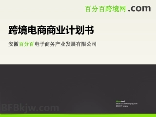 跨境电商商业计划书