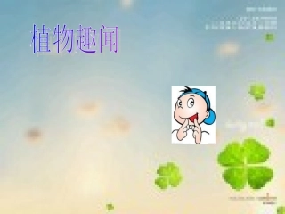 科学活动：植物趣闻