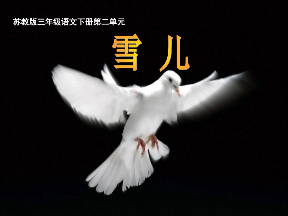 《雪儿》PPT之二课件(苏教版三年级语文下册课件)[1]_第1页
