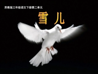 《雪儿》PPT之二课件(苏教版三年级语文下册课件)[1]
