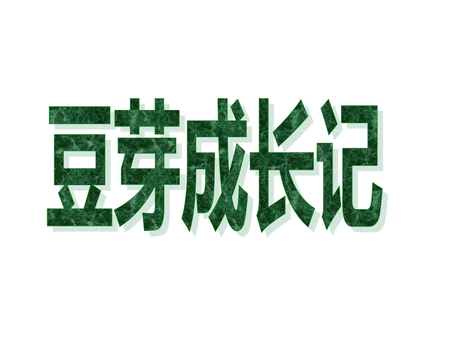 绿豆成长记(观察日记)_第1页